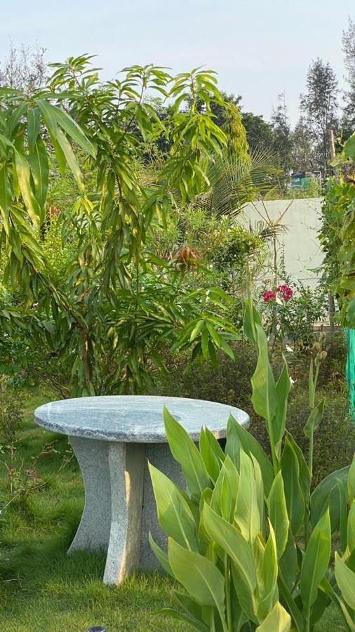 Farm stay Serenity Farms *