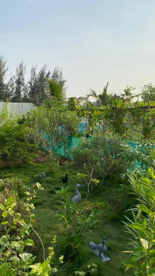 Farm stay Serenity Farms Chennai