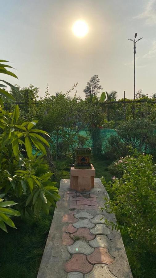 Serenity Farms Chennai