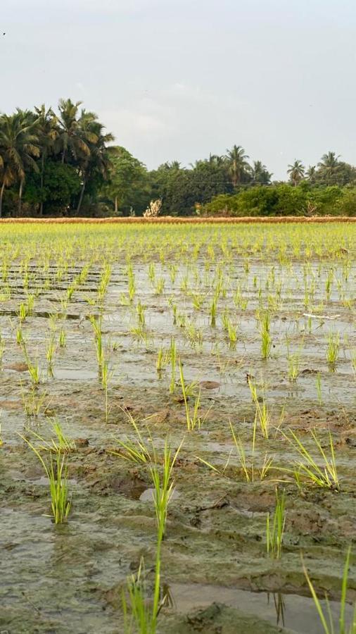 Farm stay Serenity Farms Chennai